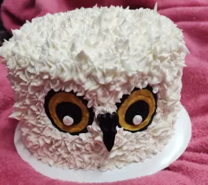 Confections by Lynn Owl Cake
